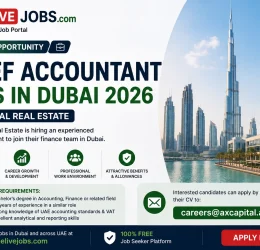 Chief Accountant Jobs in Dubai