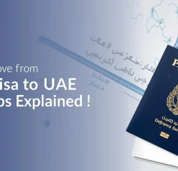 Visit Visa to work visa UAE